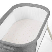 Ickle Bubba 2 Pack Fitted Crib Sheets - Bunnychino