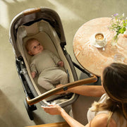 Nuna TRIV lx + ARRA Flex Travel System - Caviar