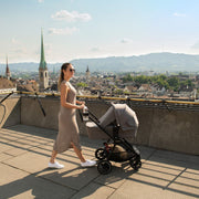 Nuna Triv Next + Pipa Urbn Travel System - Chestnut