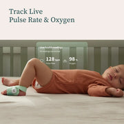 Owlet Twin Bundle - 2 x Dream Sock + 1 Cam 2