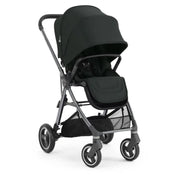 Oyster Gravity+ 5 Piece Bundle - Black Olive