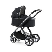 Oyster4 Essential 5-Piece Bundle - Carbonite