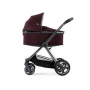 Oyster4 Ultimate 12-Piece Bundle - Mulberry