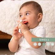 Sophie La Girafe® - Once upon a time 5 Senses - SENSE OF SMELL